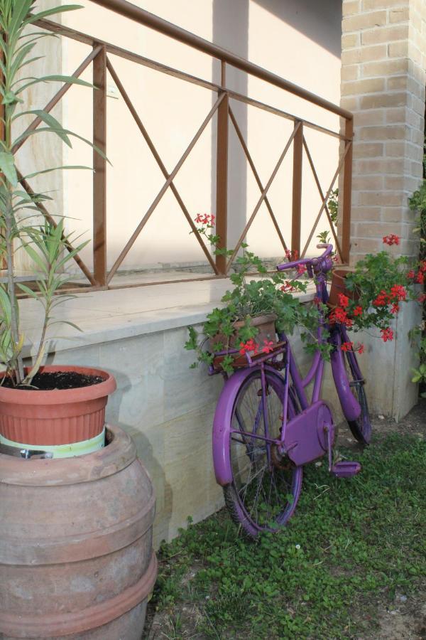 Alle Terme B&B Rapolano Terme Buitenkant foto
